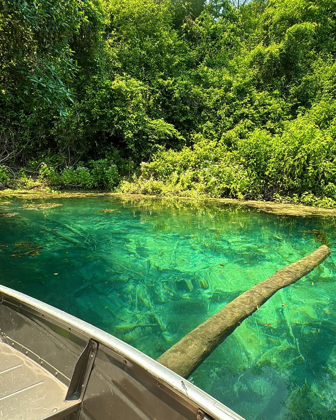 Cachoeiras incríveis de MS! 🌊